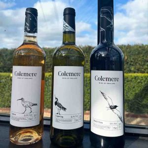 Colemere Vineyard
