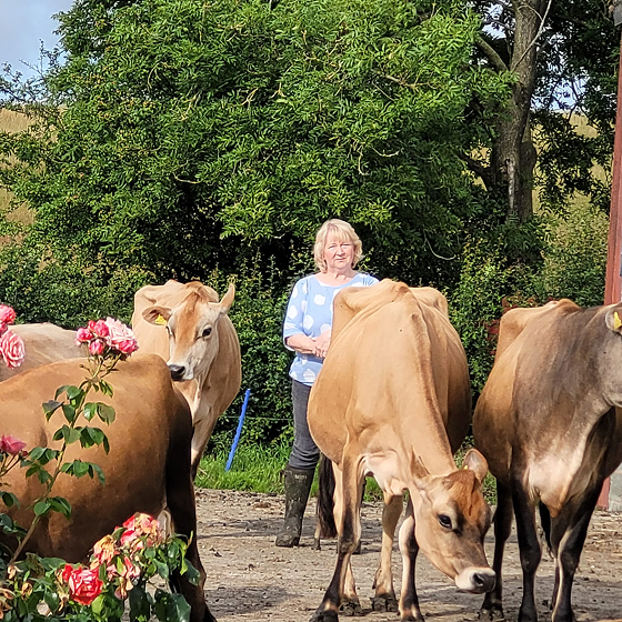 Muckleton Meats & Nanny Janny's Jersey Ice Cream